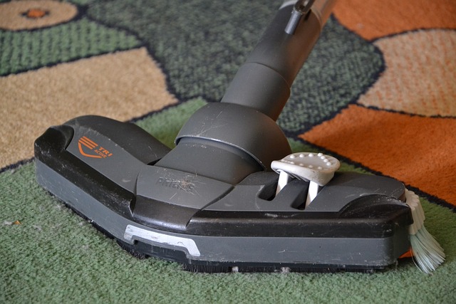 Vacuuming is one of the ways if wondering how to remove pet hair and odors