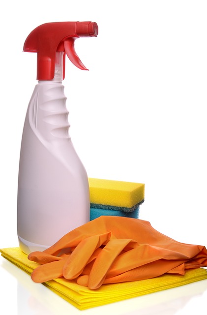 Understanding the Ingredients in Your Cleaning Products