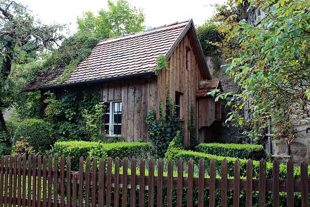 How to Clean and Organize Your Garden Shed: Seasonal Storage